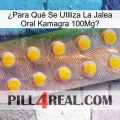 ¿Para Qué Se Utiliza La Jalea Oral Kamagra 100Mg new11